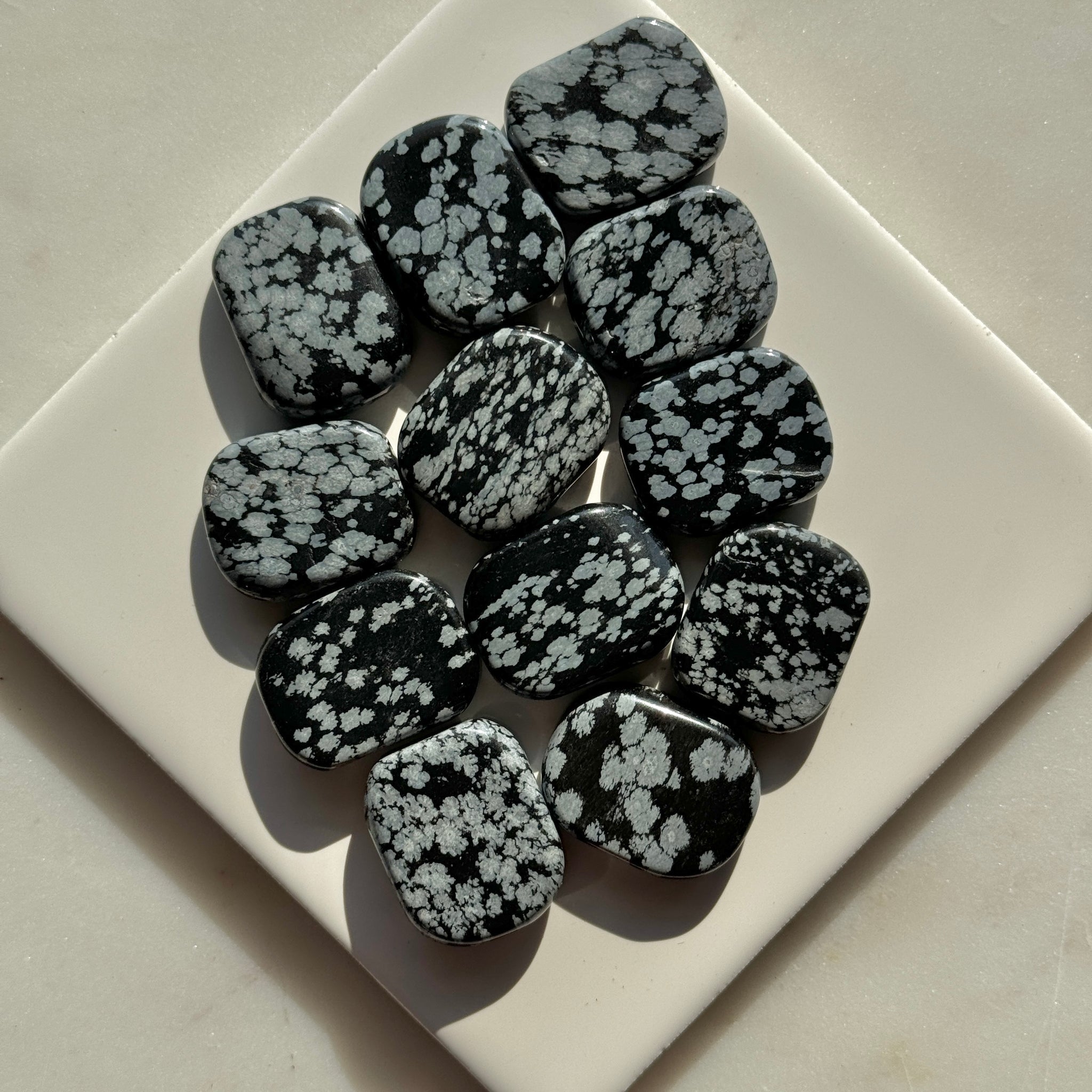 Snowflake Obsidian Coins