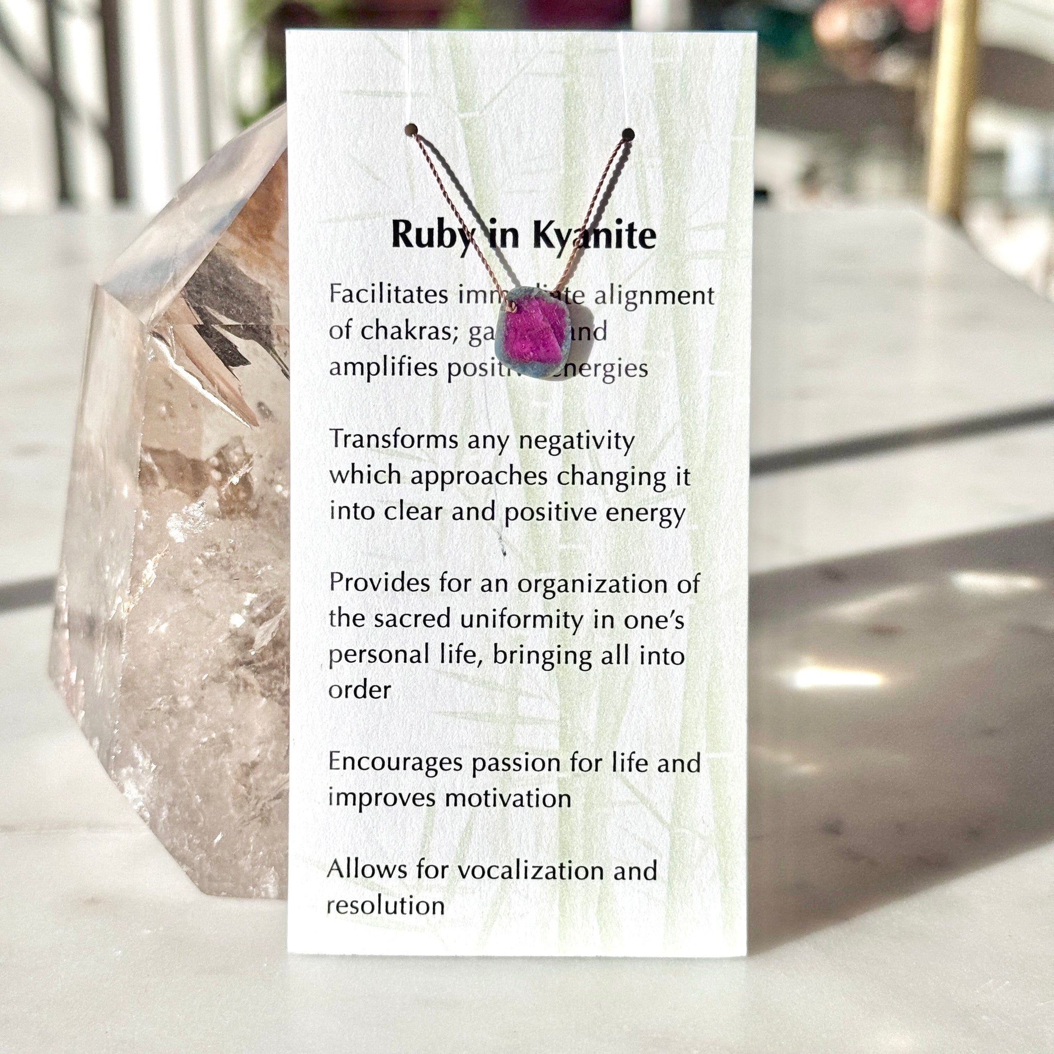 Ruby in Kyanite