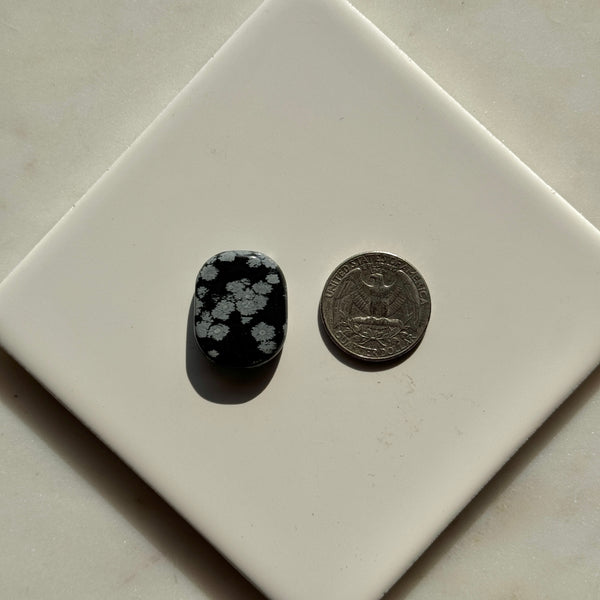 Snowflake Obsidian Coins