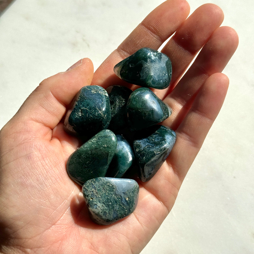 Moss Agate Tumbled Stones | Wholesale – LA Gem Shops Moss Agate Tumbled Stones | Wholesale – LA Gem Shops