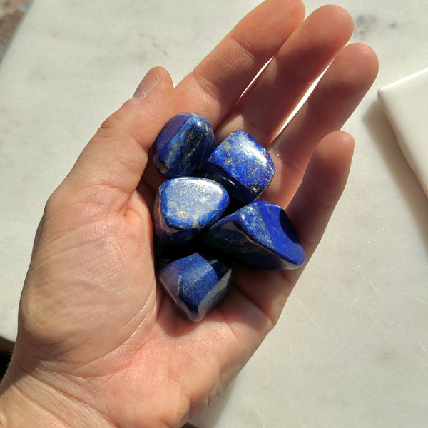 Lapis Lazuli Size I