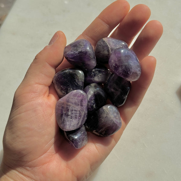 Zambia Amethyst Tumbles