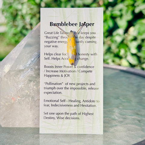 Bumblebee Jasper