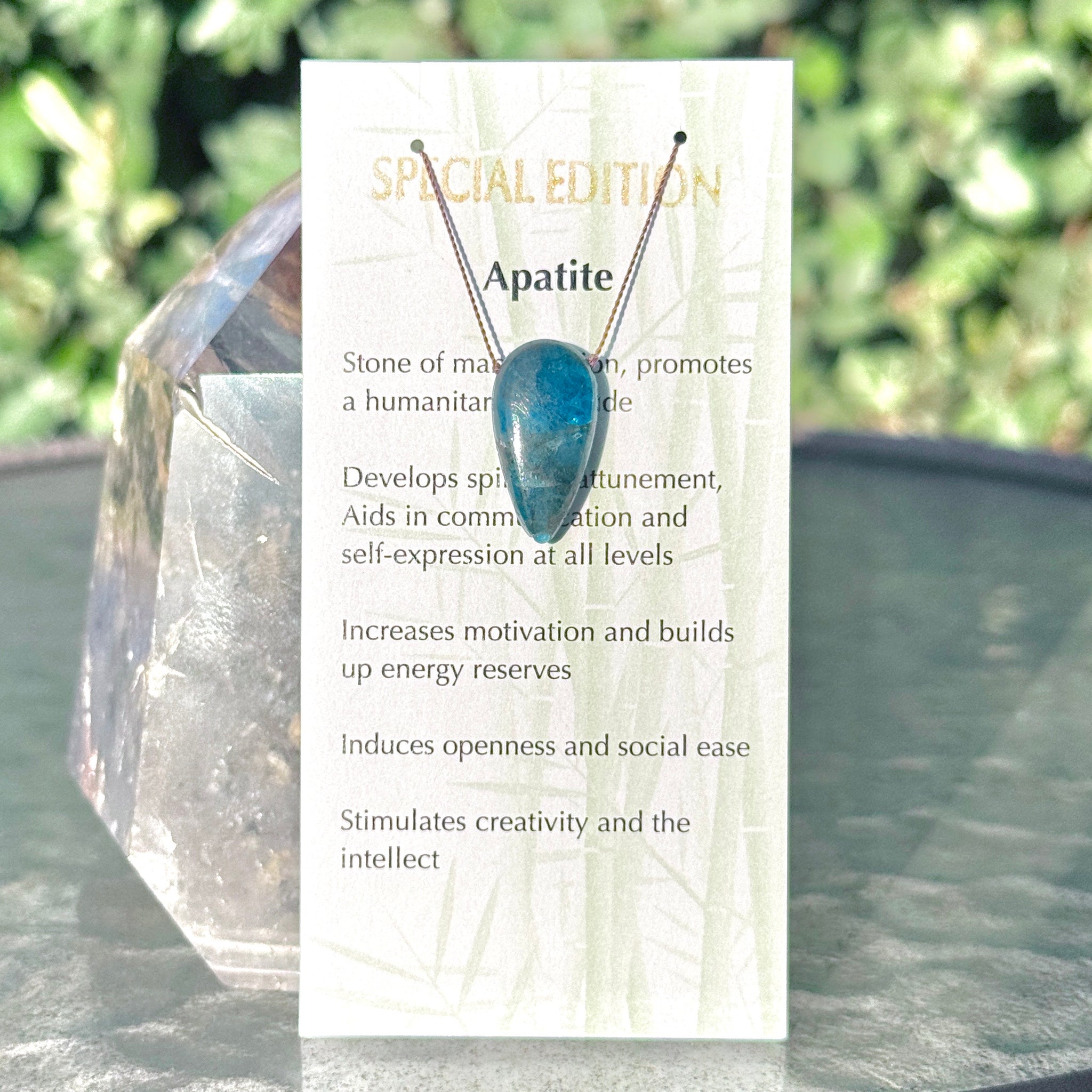 Apatite Teardrop  Bead Special Edition Necklace 16"