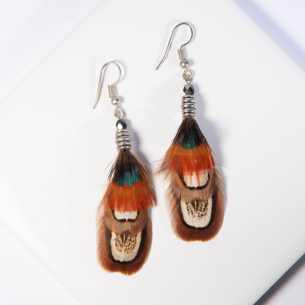 Ringneck and Golden Pheasant Feather Earrings