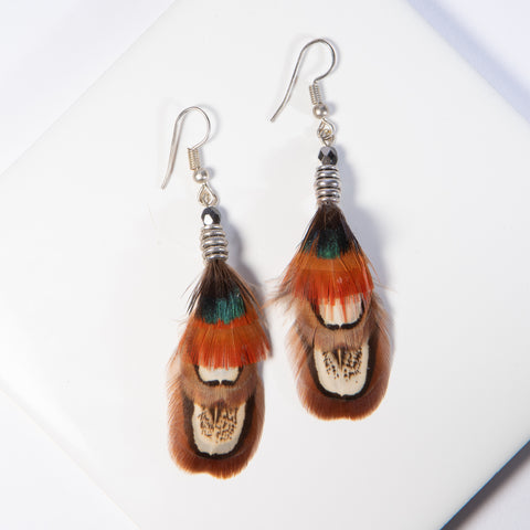 Ringneck and Golden Pheasant Feather Earrings