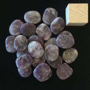 Lepidolite Coins